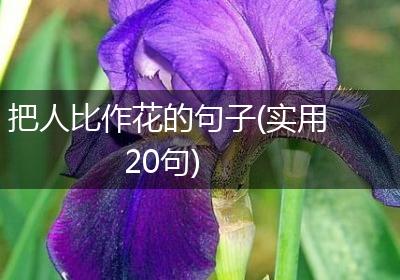 把人比作花的句子(实用20句)