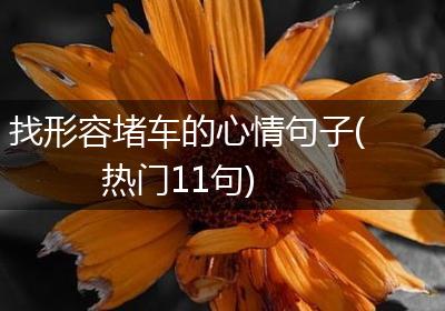 找形容堵车的心情句子(热门11句)