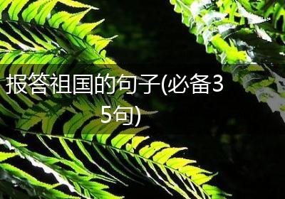 报答祖国的句子(必备35句)