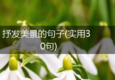 抒发美景的句子(实用30句)
