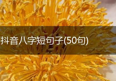 抖音八字短句子(50句)
