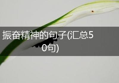 振奋精神的句子(汇总50句)