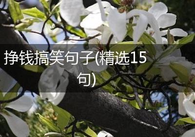 挣钱搞笑句子(精选15句)