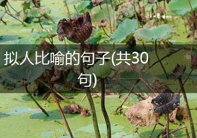 拟人比喻的句子(共30句)