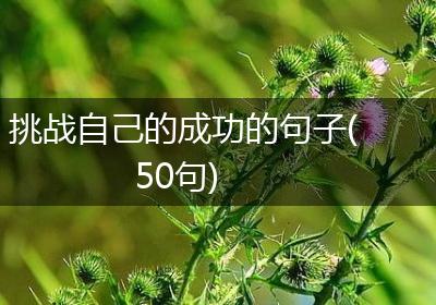挑战自己的成功的句子(50句)