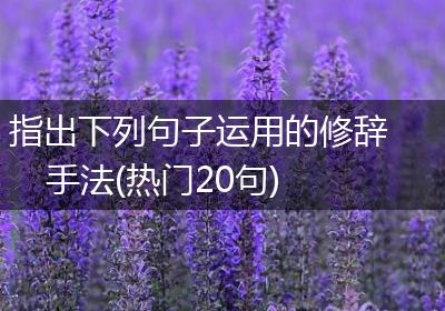 指出下列句子运用的修辞手法(热门20句)