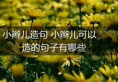 小辫儿造句 小辫儿可以造的句子有哪些
