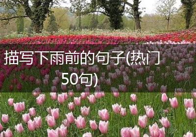 描写下雨前的句子(热门50句)