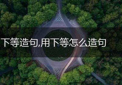 下等造句,用下等怎么造句