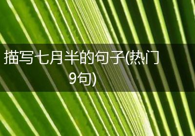 描写七月半的句子(热门9句)