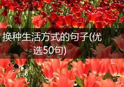 换种生活方式的句子(优选50句)
