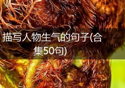 描写人物生气的句子(合集50句)
