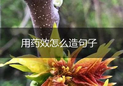 用药效怎么造句子