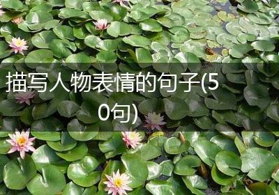 描写人物表情的句子(50句)