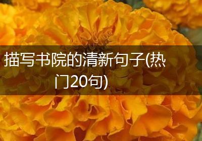 描写书院的清新句子(热门20句)