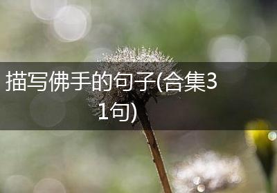 描写佛手的句子(合集31句)