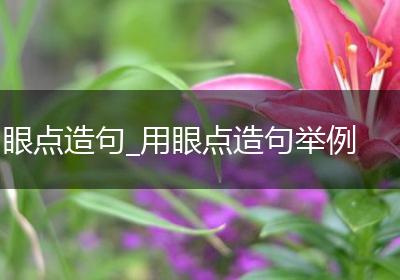 眼点造句_用眼点造句举例