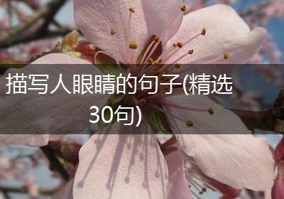描写人眼睛的句子(精选30句)
