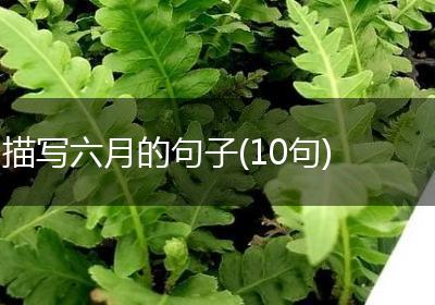 描写六月的句子(10句)
