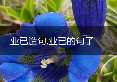 业已造句,业已的句子