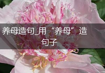 养母造句_用“养母”造句子