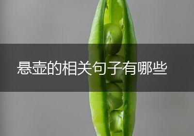 悬壶的相关句子有哪些