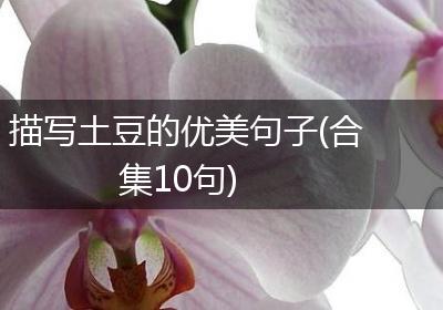 描写土豆的优美句子(合集10句)