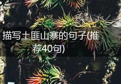 描写土匪山寨的句子(推荐40句)