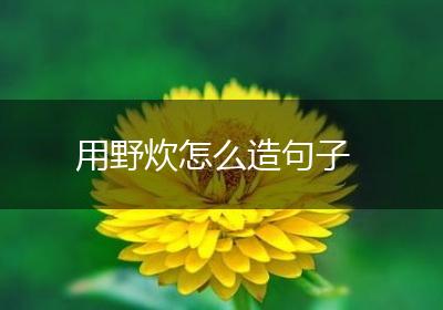 用野炊怎么造句子