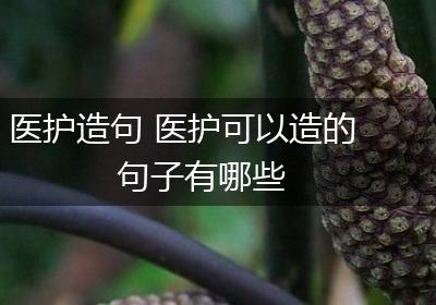 医护造句 医护可以造的句子有哪些