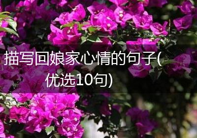 描写回娘家心情的句子(优选10句)