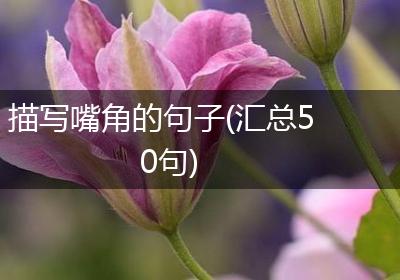 描写嘴角的句子(汇总50句)