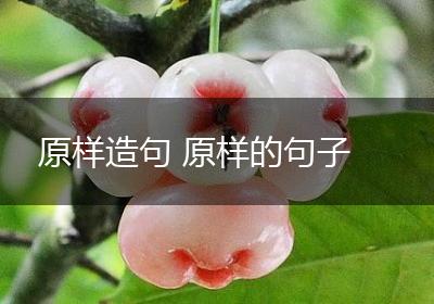 原样造句 原样的句子