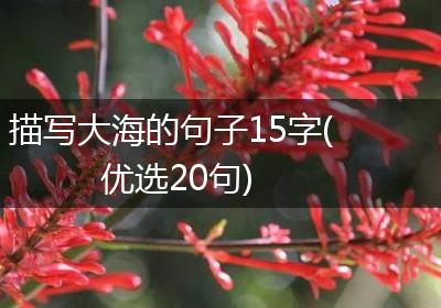 描写大海的句子15字(优选20句)