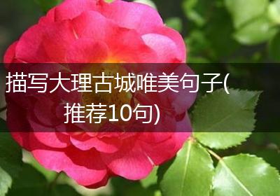 描写大理古城唯美句子(推荐10句)