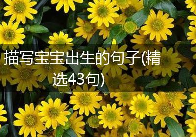 描写宝宝出生的句子(精选43句)