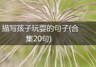 描写孩子玩耍的句子(合集20句)