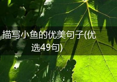 描写小鱼的优美句子(优选49句)