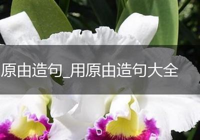 原由造句_用原由造句大全