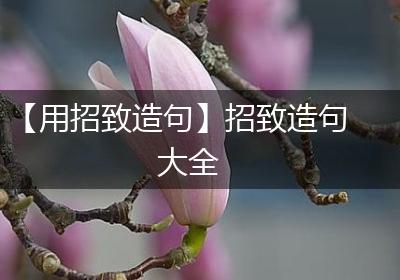 【用招致造句】招致造句大全
