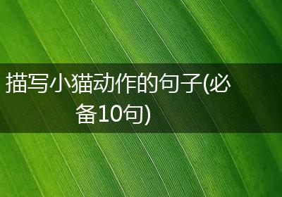 描写小猫动作的句子(必备10句)