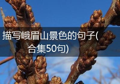 描写峨眉山景色的句子(合集50句)