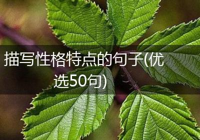 描写性格特点的句子(优选50句)