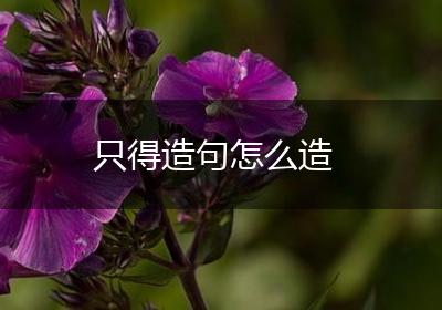 只得造句怎么造