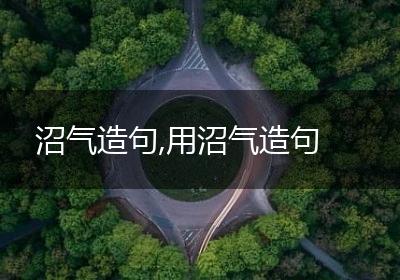 沼气造句,用沼气造句