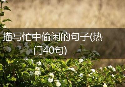 描写忙中偷闲的句子(热门40句)