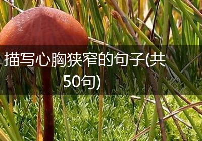 描写心胸狭窄的句子(共50句)