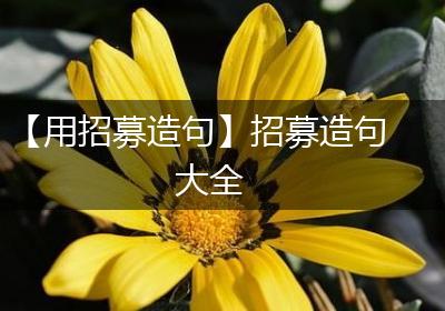 【用招募造句】招募造句大全