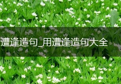 遭逢造句_用遭逢造句大全