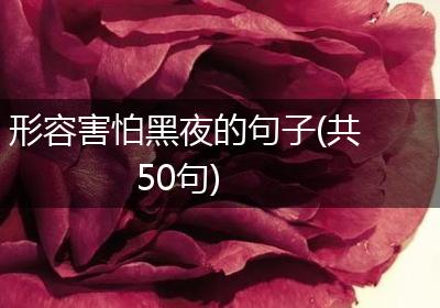 形容害怕黑夜的句子(共50句)
